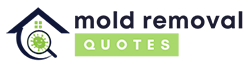 Marietta Mold Removal Expert